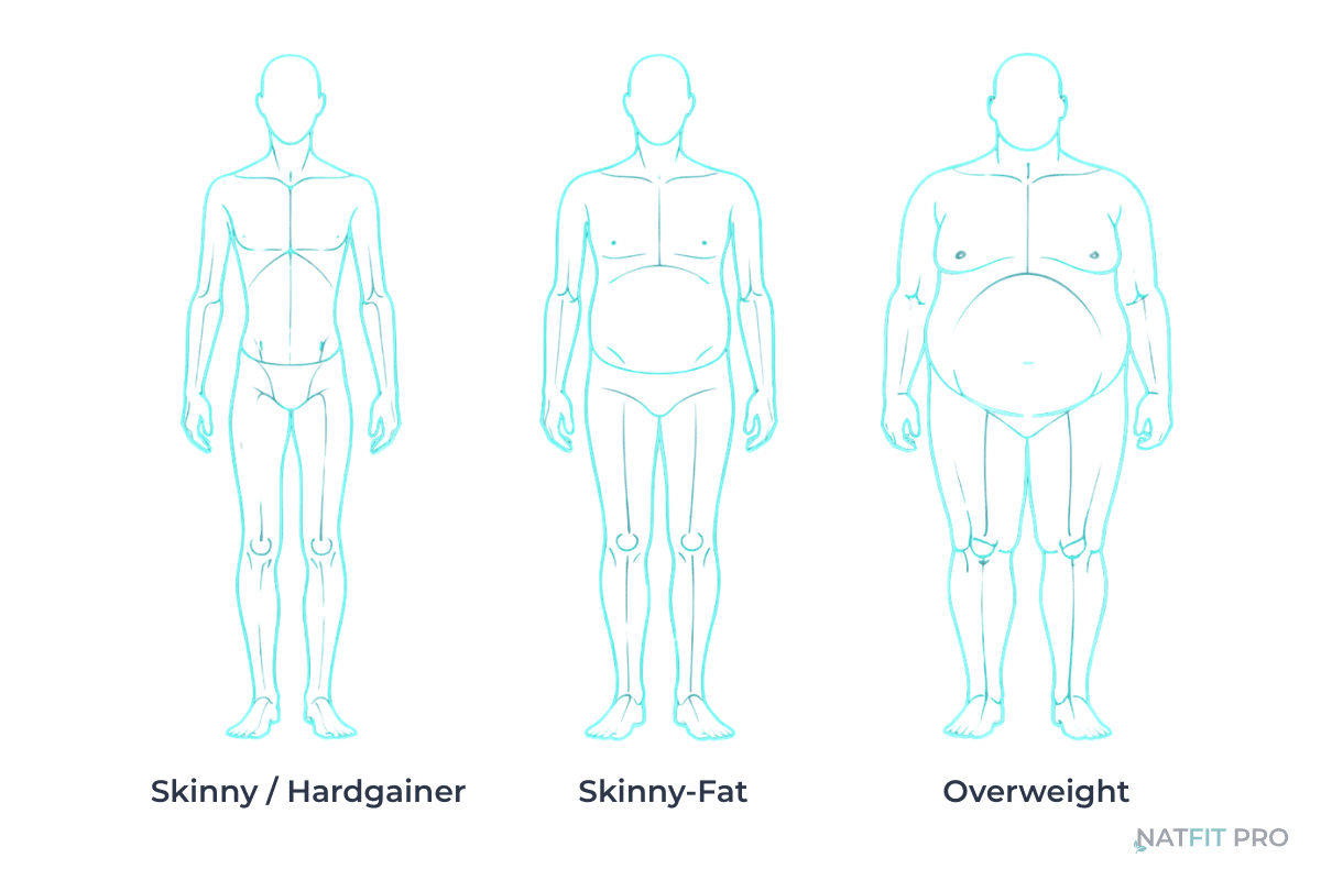 Diagram comparing three male body types: Skinny (Hardgainer), Skinny-Fat (Low muscle, belly fat), and Overweight (High body fat).