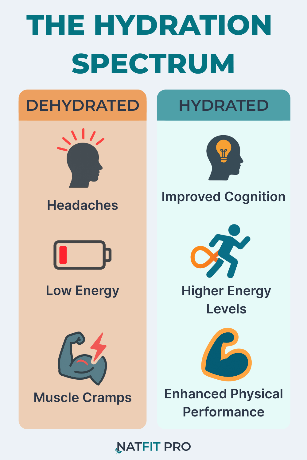 An infographic titled "The Hydration Spectrum," comparing the effects of being dehydrated (headaches, low energy, muscle cramps) to being hydrated (improved cognition, higher energy, enhanced performance) - NatFit Pro.