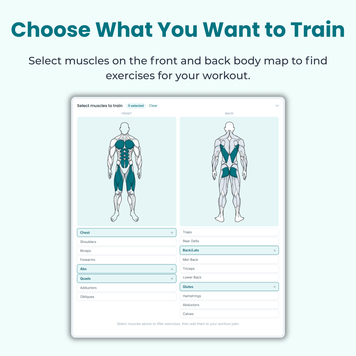natfit-pro-interactive-muscle-map-workout-builder