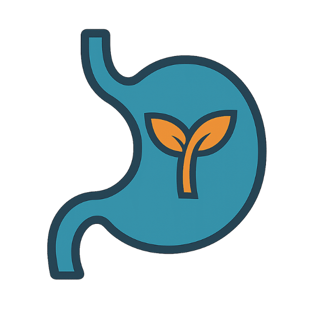 Flat 2D icon of a teal stomach silhouette with an orange sprout inside. Symbolizes fiber in dried fruits boosting fullness and satiety.